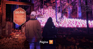 'Harry Potter: La experiencia del Bosque Prohibido': fecha y precios de las entradas para el evento