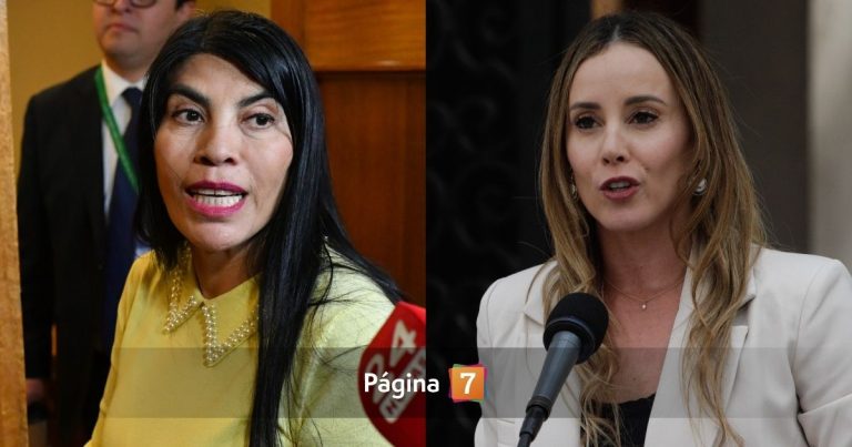La llamativa defensa de Mara Sedini a ministra Lincolao por sus comentados dichos sobre la probreza