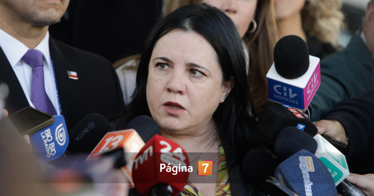 Inasistencia de ministra Steinert a crucial sesión sobre Carabineros causa controversia en el Senado