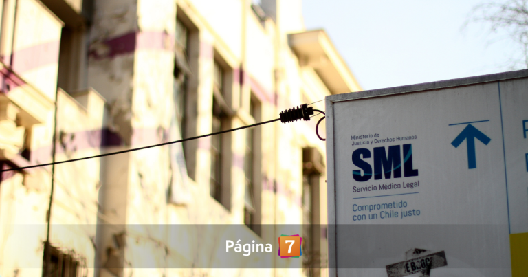 Fatal ataque de perros provoca muerte de niña de 3 años en Chillán: revelaron su identidad