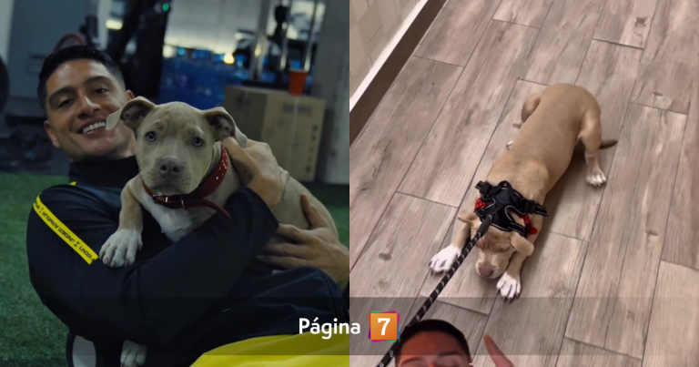 El mea culpa de Sammis Reyes tras criticado video con su perrita: 