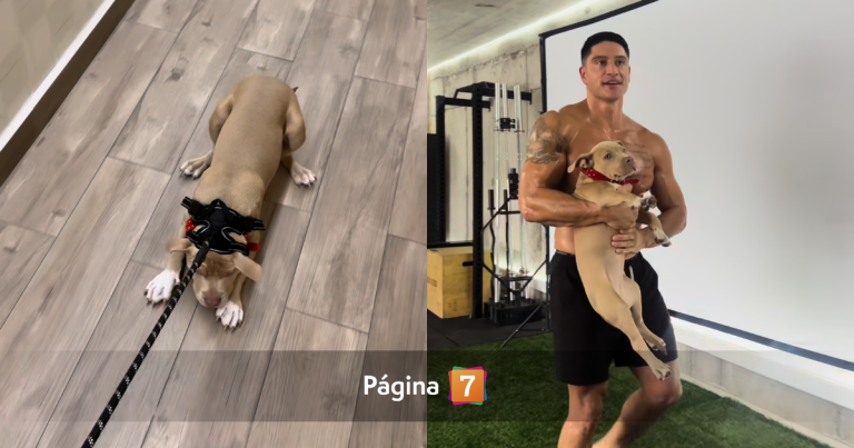 Sammis Reyes desata críticas tras cuestionable video con su perrita: deportista respondió a la funa