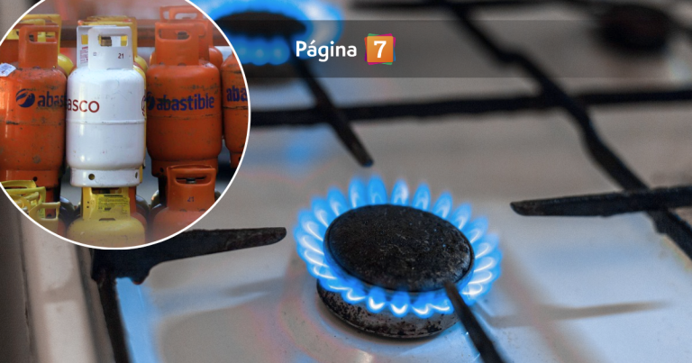 ¿Quiénes podrán acceder al subsidio del gas que anunció el gobierno? Revisa los detalles