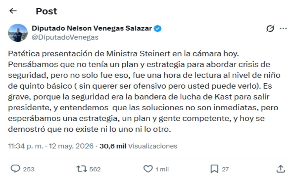 Críticas a ministra de Seguridad, Trinidad Steinert