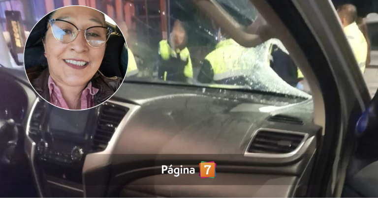 Madre de 5 hijos grave tras ser golpeada por fierro que cayó desde una pasarela en Puerto Montt