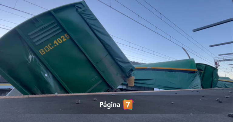 ¿Por qué se descarriló un tren de carga en Chiguayante? Esto es lo que se sabe