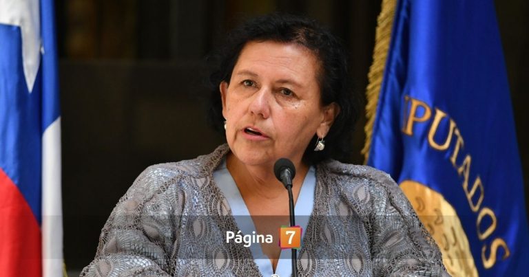 Diputada Lorena Pizarro sufrió violento portonazo junto a su jefa de gabinete en Macul