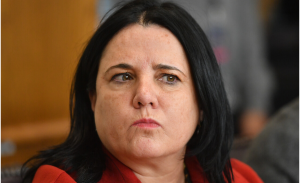 Critican a Steinert por presentación sobre seguridad: 