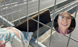 Mujer impactada por trozo de fierro en Ruta 5 Sur de Puerto Montt quedó parapléjica