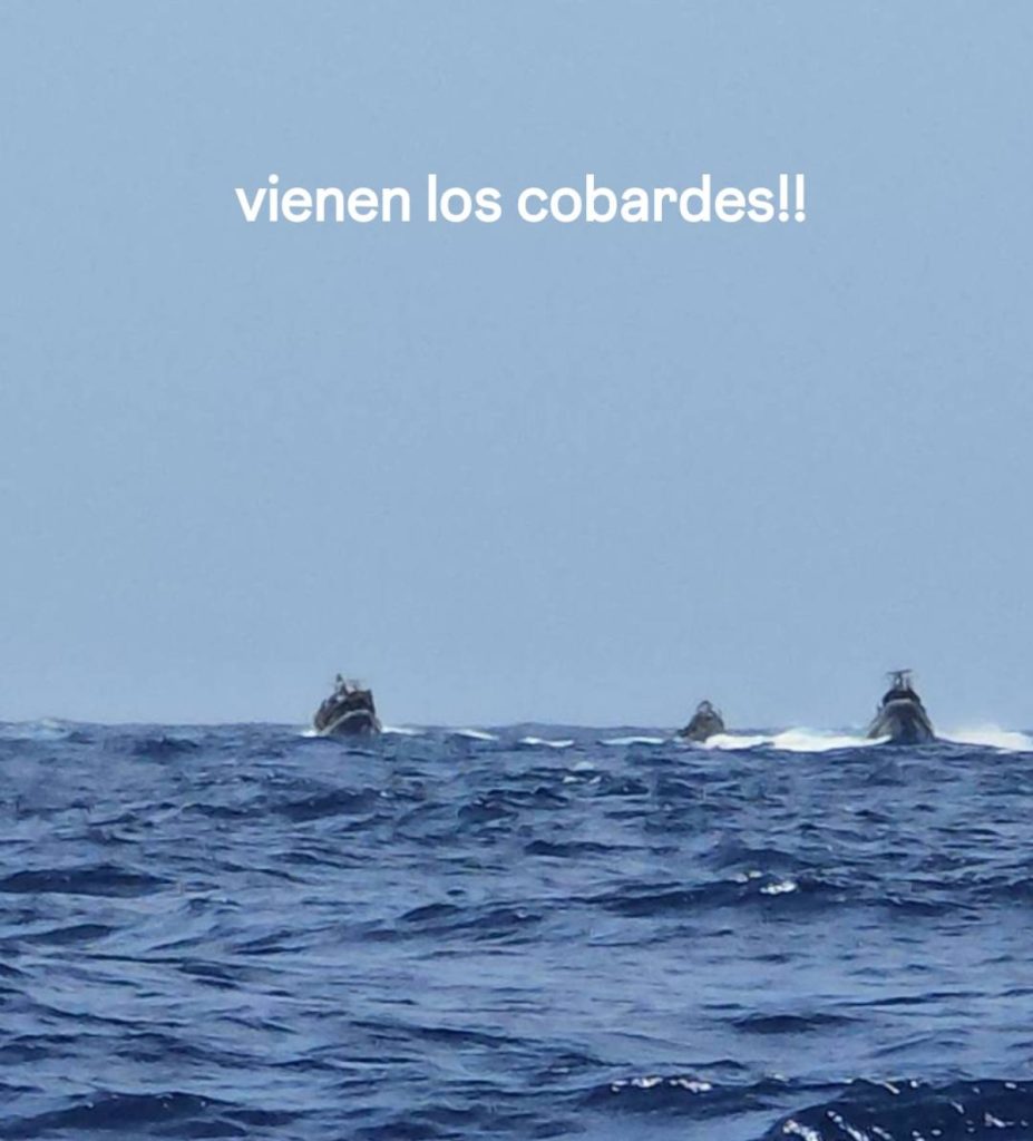 Reportan que Israel interceptó barco donde viajaba periodista Carolina Eltit: iba rumbo a Gaza