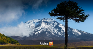 Despliegan intenso operativo de rescate por persona caída en volcán Lonquimay