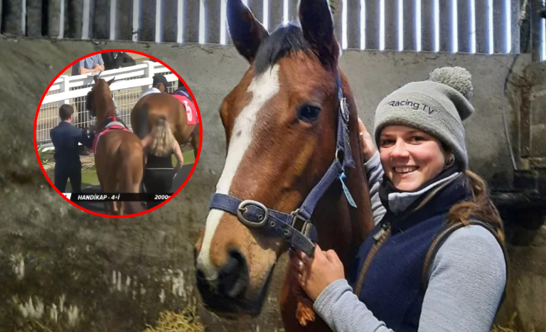 Captan momento en que caballo de carreras pateó brutalmente a mujer de 25 años: era su cuidadora