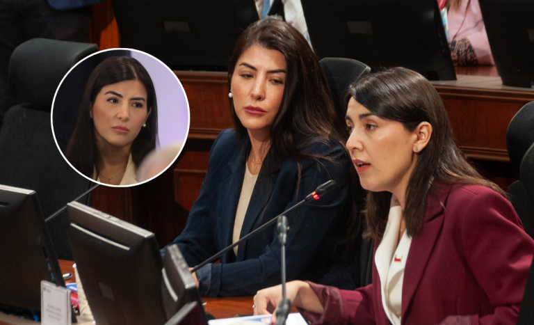 Kast remueve a subsecretaria Daniela Castro tras semanas de 