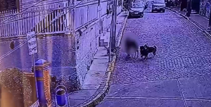 Video de ataque a turista en Valparaíso generó preocupación: vecinos entregaron distintas versiones