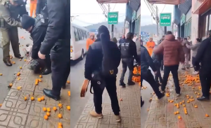 Video de fiscalización en Curicó muestra violento enfrentamiento entre inspector y vendedor