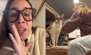 Influencer denuncia insólito e indignante error de crematorio de mascotas: 