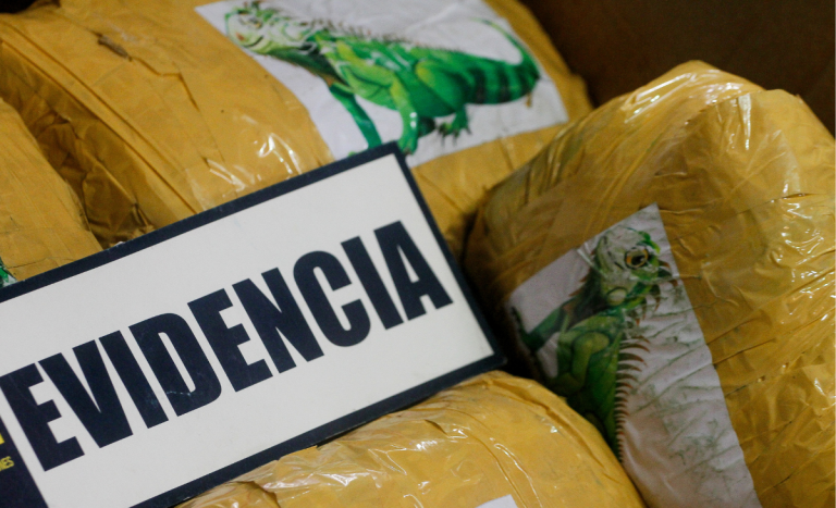 Histórico decomiso de 100 mil kilos de droga: usaron impensado método para esconder cargamento