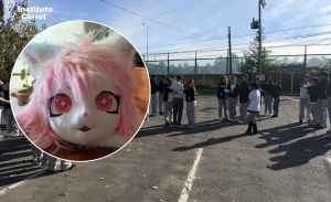 Colegio de Temuco respondió tras brutal agresión a niña con TEA: "No se aprecia violencia física"