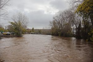Declaran Alerta Roja desborde de río en Molina: 13 damnificados deja último balance de Senapred