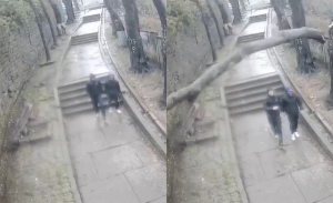 Adolescente "casi pierde la vida" tras caída de árbol sobre su cabeza por sistema frontal en Lota