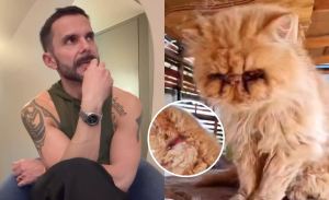 Álvaro Ballero destapó caso de maltrato animal tras adoptar a su gato: 