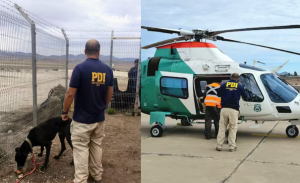 Encuentran sin vida a dos mujeres en Alto del Carmen perro de una de las víctimas logró sobrevivir