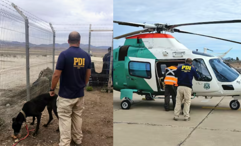 Encuentran sin vida a dos mujeres en Alto del Carmen: perro de una de las víctimas logró sobrevivir