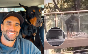 Maxi Ferres se defendió de funa por dejar a su perro en el balcón durante lluvia: 
