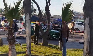 Vehículo volcó sobre concurrida feria en Viña del Mar seis personas murieron y siete heridos
