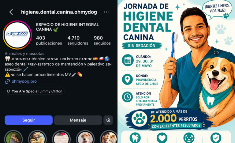 Denuncian muerte de perro durante limpieza dental: persona a cargo no era médico veterinario