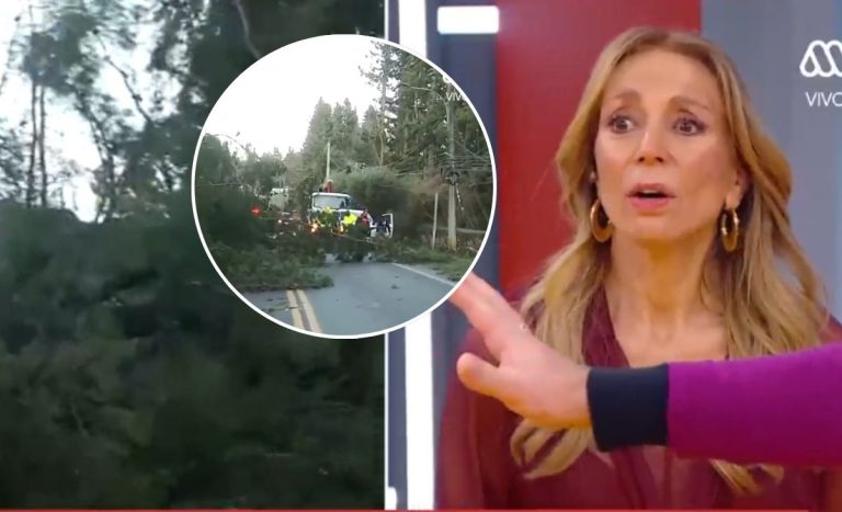 Caída de árbol en vivo sorprendió a animadores de 'Mucho Gusto': se desplomó a metros de notero