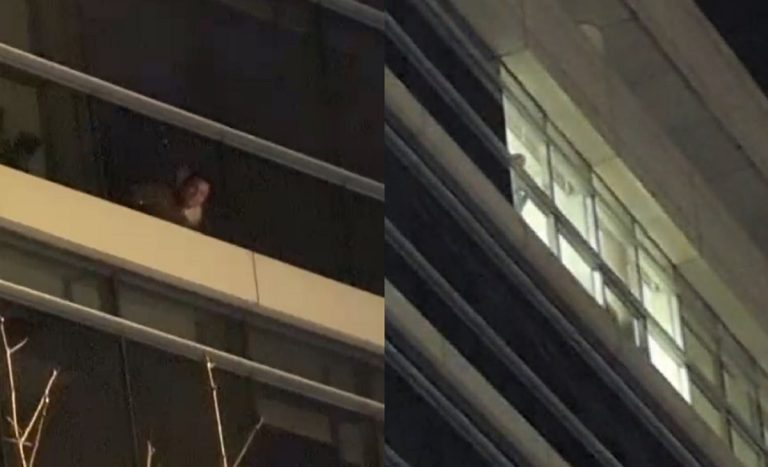Subcomisario PDI parapetado en Las Condes generó operativo de emergencia: 