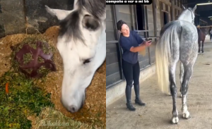 Raquel Argandoña acompañó a Kel Calderón visitando a su querido caballo Fargo: mira sus cuidados