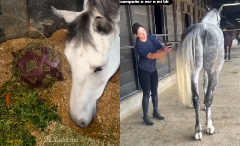 Raquel Argandoña acompañó a Kel Calderón visitando a su querido caballo Fargo: mira sus cuidados