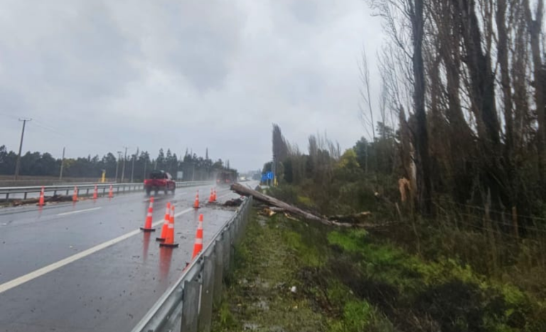 Identifican a trabajador que murió tras recibir impacto de un árbol durante temporal en Negrete