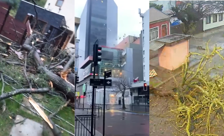 Árboles caídos, destrozos y rutas cortadas: videos muestran emergencia que afecta al Gran Concepción