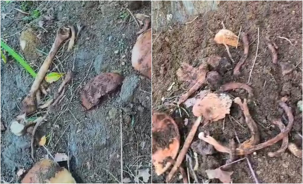 Alerta en Cementerio Católico de Puerto Montt: restos óseos quedaron expuestos tras lluvias