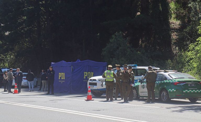 Chofer murió calcinado tras violento choque en Ruta 78: investigan causas del accidente