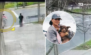 Cámaras captaron fatal atropello de Paz Ramírez: intentaba salvar a su perrita antes del impacto