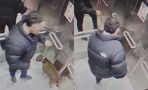 Identifican a sujeto que habría cometido horrendo maltrato animal contra perro en ascensor en Ñuñoa