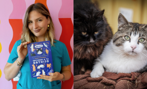 En el mes de los gatos: especialista publica 'Entiende a tu gathijo', guía para conectar con felinos