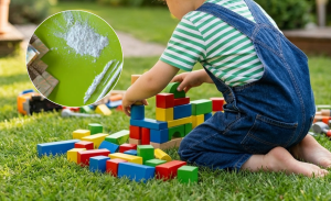 Niño de 5 años intoxicado con cocaína en Viña del Mar
