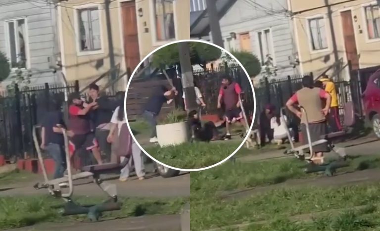 Registran feroz pelea entre vecinos en Llanquihue: usaron palos y hasta una tijera