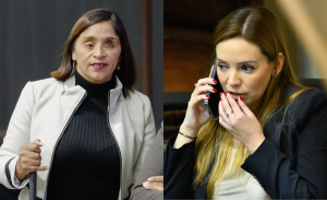 RN por palabras de Camila Flores contra Campillai