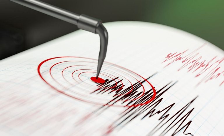 SHOA descarta tsunami en Chile tras terremoto 7,7 en las costas de Indonesia