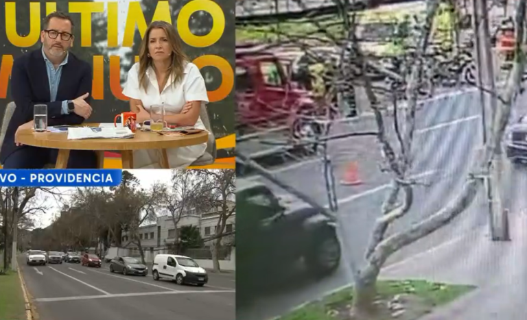 Testigo del trágico atropello de Paz Ramírez: 