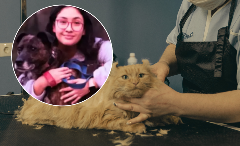 Muerte de joven veterinaria en Viña genera conmoción: cercanos mencionan presunto acoso laboral