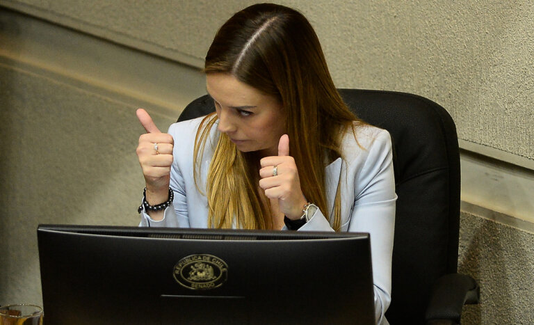 Oficio por terreno de su madre y $228 millones: los nuevos reportes que complican a Camila Flores