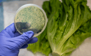 Ojo en la cocina: experto da claves de higiene para evitar contaminación cruzada en Fiestas Patrias