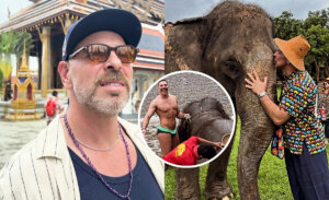 José Antonio Neme respondió a polémica foto con elefantes en Tailandia: "Ninguna situación invasiva"